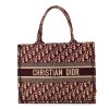 Christian Dior  Book Tote