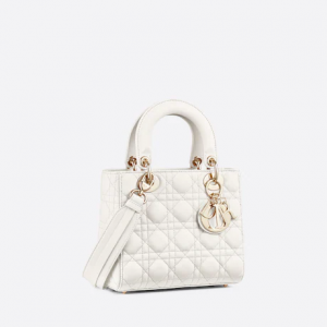 Small Lady Dior My  Bag Latte