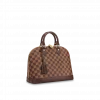 Louis Vuitton Felicie Pochette N63106