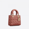 Small Lady Dior My Bag Rust-Colored