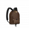 Louis Vuitton Palm Springs Pm 29Cm M44871