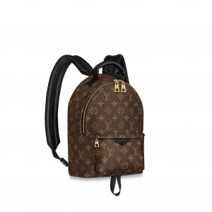 Louis Vuitton Palm Springs Pm 29Cm M44871