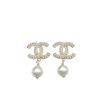 Dior Clair D Lune Earrings