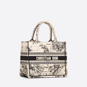 Small Dior Book Tote