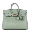Hermès Birkin Sellier 25 Vert D'eau Matte Alligator Gold Hardware